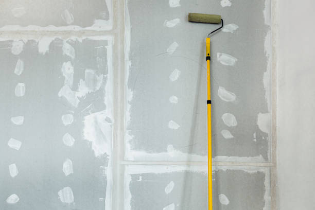 Best Crawl Space Mold Remediation  in Cutten, CA