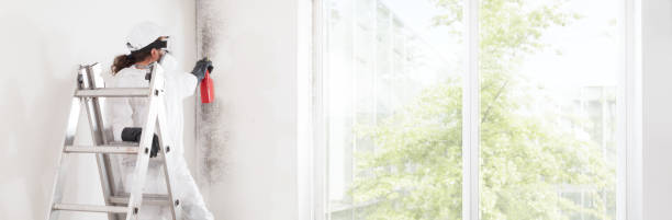Best Commercial Mold Inspection  in Cutten, CA